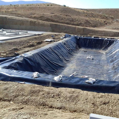 Pesci Farm Laghetto Liner Geomembrana HDPE Lunghezza 50-200m Nero Bianco Blu Verde personalizzato