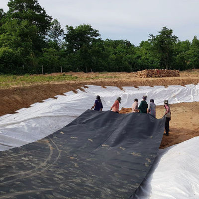 Black White Green Blue HDPE Geomembrane Sheet La scelta migliore per il rivestimento di stagni di allevamenti ittici