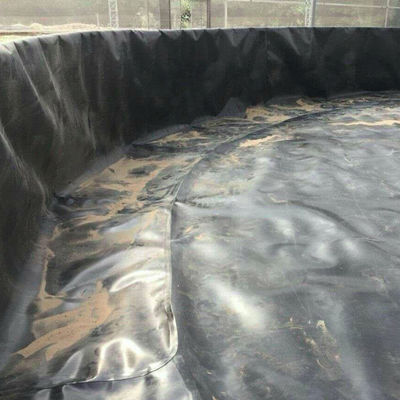 Acquacoltura Geomembrane Dam Liner 100% materiale vergine HDPE per progetti di soluzione totale