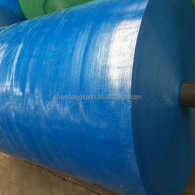 20x30 30x50 40x60 Pesante Plastico PE Tarpaulin Tarpa Impermeabile Tarpa Tessuta Custom