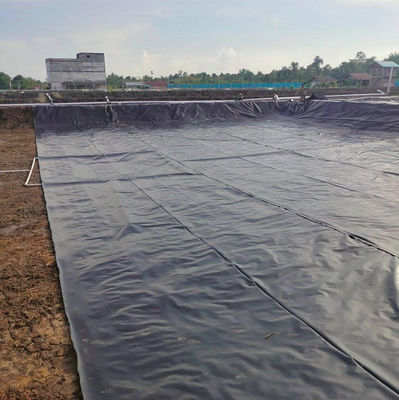 Geomembrane in LLDPE rivestimento di piscina durevole per acquacoltura piscicoltura stagno di plastica