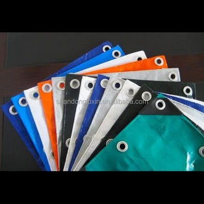LDPE Rivestimento Tarpaulin Copertura 250G per pesanti attività Camping terra piastra impermeabile