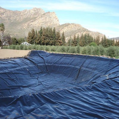 Disegno industriale Geoliner liscio in HDPE da 0,5 mm per stagni di pesce per acquacoltura