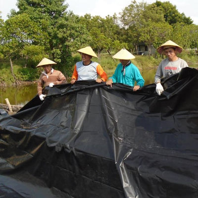 Nero Bianco Blu Verde Geomembrane Liner HDPE personalizzato per la coltivazione di stagni impermeabile