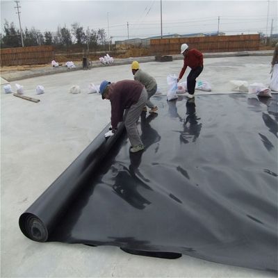0Geomembrana in HDPE di 0,5 mm, 1,5 mm e 2 mm per rivestimenti per stagni di pesce in stile di progettazione industriale