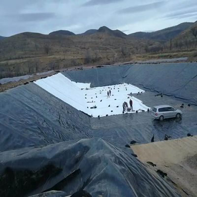 Geomembrana in HDPE di larghezza da 1m-8m per l'allevamento di gamberetti