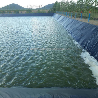 Geomembrana in HDPE di larghezza da 1m-8m per l'allevamento di gamberetti