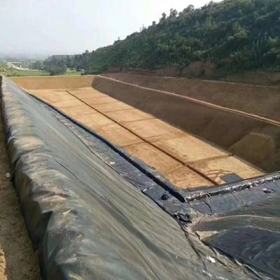 Geomembrana in HDPE di larghezza da 1m-8m per l'allevamento di gamberetti