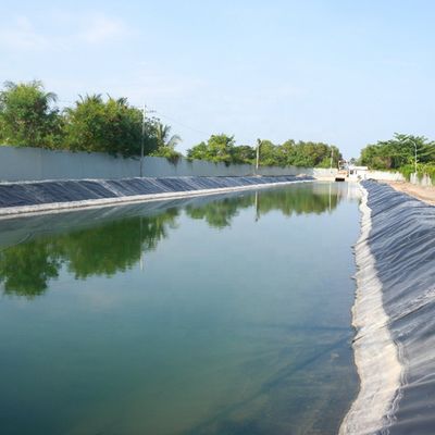Geomembrana di plastica HDPE impermeabile a rulli ad alta densità per lago artificiale impermeabile