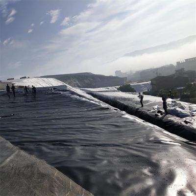 Liner per stagno di pesci a geomembrana pieghevole in nero o colore personalizzato per l'allevamento di pesci rattani