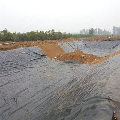 Impresa di rivestimento di geomembrane in LDPE HDPE per macchine di connessione di rivestimenti per stagni in allevamenti ittici