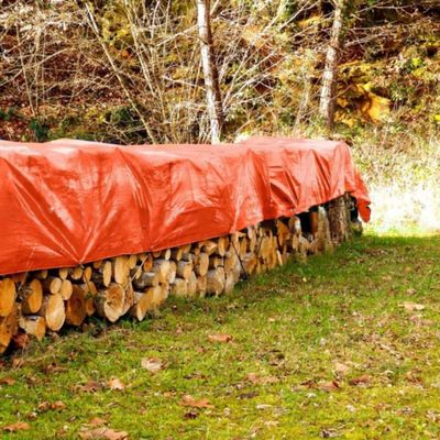 Tarpaolina PE leggera in dimensioni personalizzate per applicazioni impermeabili e pesanti
