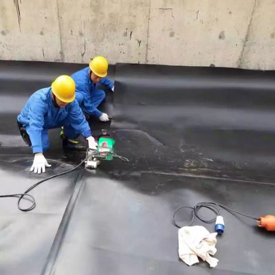 Geomembrana di plastica per acquari di pesce per materiale HDPE di rivestimento e allevamento di aragoste in miniera, ecc.