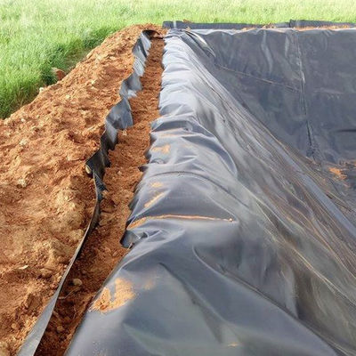 50-100m di lunghezza Geomembrana HDPE per geomembrane in stagno in polietilene a densità
