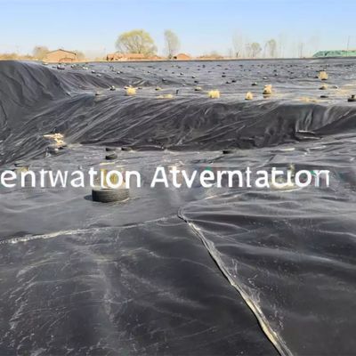 Geomembrana lucida impermeabile stile di progettazione industriale per 0,75 mm 1 mm 1,5 mm HDPE LDPE