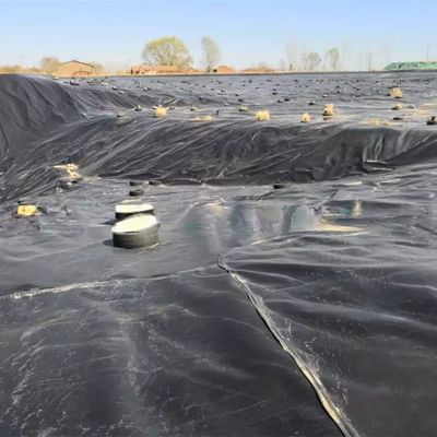 Geomembrana a doppia superficie liscia 0,5 mm LDPE LLDPE HDPE per rivestimento della diga dell'industria ittica