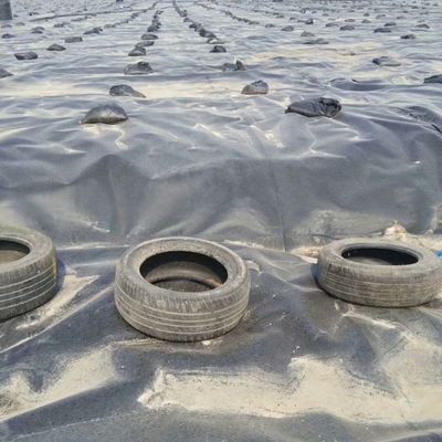 Geomembrana a doppia superficie liscia 0,5 mm LDPE LLDPE HDPE per rivestimento della diga dell'industria ittica