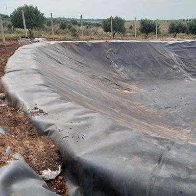Geomembrana lucida per rivestimenti esterni di canali e stagni Membrana impermeabile in plastica HDPE