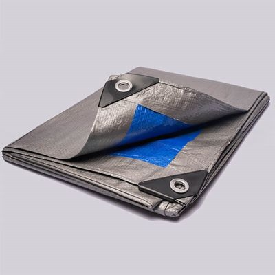 Il Vietnam fornisce 50-300 gm di lamiera di plastica micro-perforata PE a prezzi competitivi