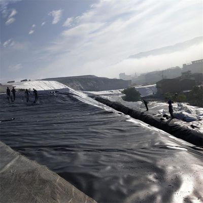 Vendita diretta Geomembrana liscia in HDPE con addestramento in loco e spessore da 0,1 mm a 2,5 mm