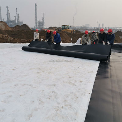 Vendita diretta Geomembrana liscia in HDPE con addestramento in loco e spessore da 0,1 mm a 2,5 mm