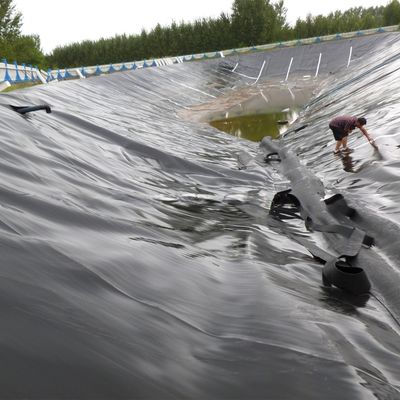 Vendita diretta Geomembrana liscia in HDPE con addestramento in loco e spessore da 0,1 mm a 2,5 mm