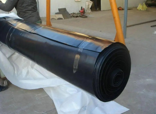 Geomembrana in HDPE a doppia consistenza per serbatoi di allevamento di pesci a bambusa