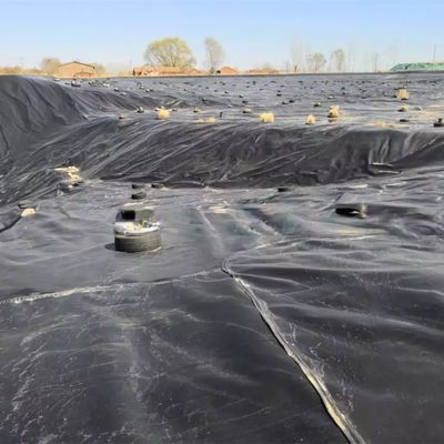 Geomembrana in HDPE di lunghezza compresa tra 50 e 100 m per rivestimento impermeabile di stagni per pesci in piscina