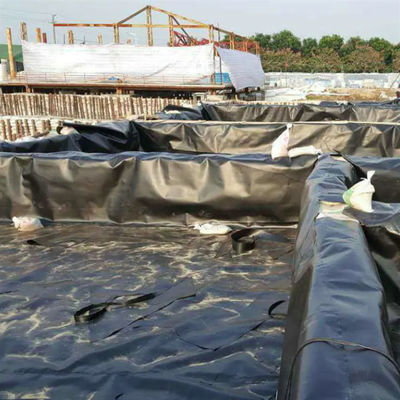 Geomembrana in HDPE di lunghezza compresa tra 50 e 100 m per rivestimento impermeabile di stagni per pesci in piscina