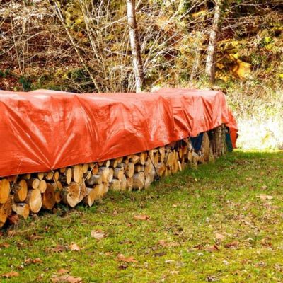 Piastra di telone per tenda per stagno di pesce su misura 240GSM Tela per copertura del rimorchio auto PE impermeabile