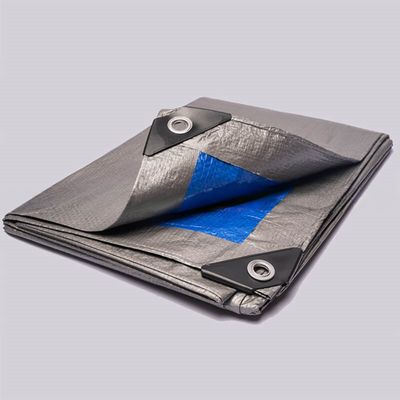Fabbricazione professionale di tessitura in HDPE e laminazione leggera in LDPE