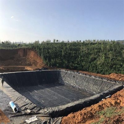 Acque resistenti di plastica di diga rivestimenti 1 mm HDPE Geomembrana stagno rivestimento 2 mm 500 micron stagno pesce