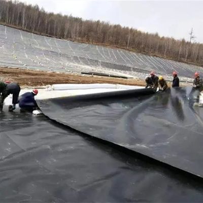 Bianco HDPE Geomembrane Acquario di allevamento di pesci Acquario di stagno per stagni di pesci e di lunga durata