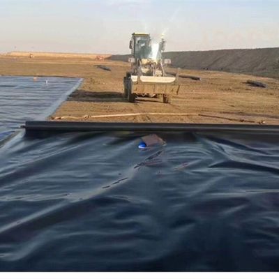 Rivestimento per stagni a geomembrana in HDPE con doppia consistenza, resistente agli UV e impermeabile