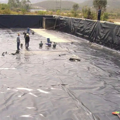 Geomembrana per stagno di pesce nero o a colori personalizzati