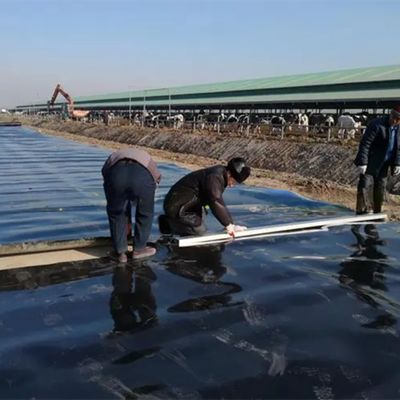 1 mm 2 mm Spessore Geomembrana HDPE Fish Pond Liner per l'impermeabilizzazione artificiale del lago