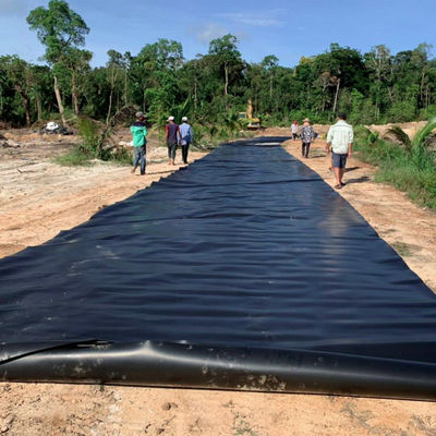 Geomembrane doppiamente lisce in HDPE La soluzione definitiva per il rivestimento di stagni di allevamenti di gamberetti