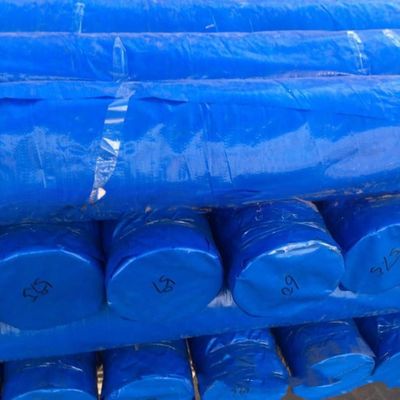 6*6-16*16 Densità Rollo di telo in plastica in PE impermeabile per coperture di autocarri/autocarri/barche