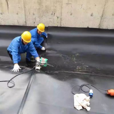 Geomembrana HDPE a superficie doppia liscia/doppia trama per rivestimento impermeabile di stagno in plastica