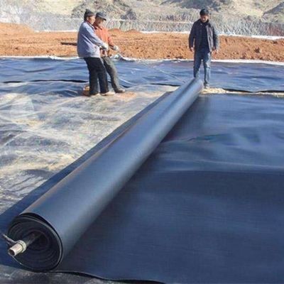 Geomembrana HDPE a superficie doppia liscia/doppia trama per rivestimento impermeabile di stagno in plastica