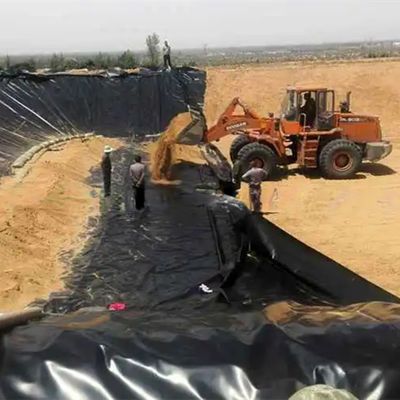 Geomembrana in HDPE a superficie doppia liscia resistente alla corrosione da 0,5 mm per l'allevamento di gamberetti