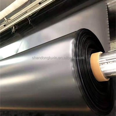 Geomembrana in HDPE a doppia texture/doppia texture per diga mineraria bacino idrico stagno di allevamento di pesci
