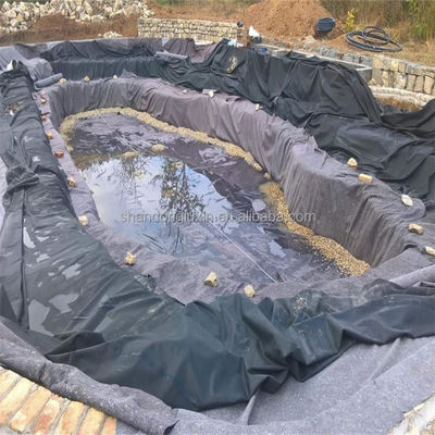 Doppia superficie liscia LDPE Geomembrana rivestimento di stagno rivestimento per la protezione dell'acqua superiore