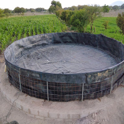 Lungozza della geomembrana flessibile Hdpe Dam Pond Liner 50m-100m Per l'acquacoltura biodigestore