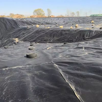 Superficie liscia 0,5 mm HDPE Geomembrane Liner Sheet per materiale di stagno di allevamento del pesce