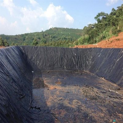 Stile di progettazione industriale Geomembrana liscia in HDPE per applicazioni di discarica