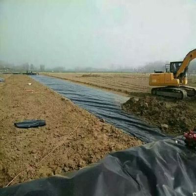 Stile di progettazione industriale Geomembrana liscia in HDPE per applicazioni di discarica