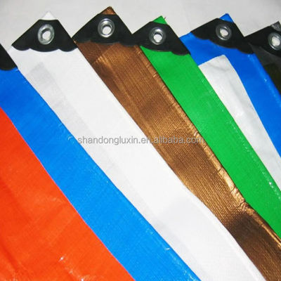 Telaio impermeabile per camion per rimorchio 50-300gm Telaio PE Canopy Tent Canvas