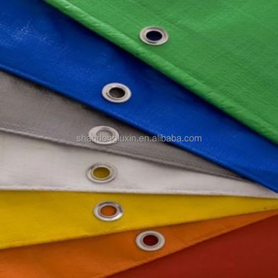 Telaio PE impermeabile e resistente per serre 50-300gm Peso 2m-100m Larghezza