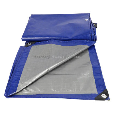 Telaio PE impermeabile e resistente per serre 50-300gm Peso 2m-100m Larghezza
